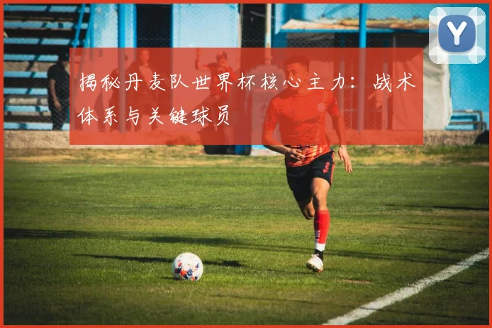 揭秘丹麦队世界杯核心主力：战术体系与关键球员